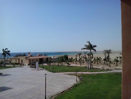 Berenice Troglodytica